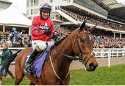 16 March 2016; Jockey Ryan Hatch celebrates after winning the RSA Steeple Chase on Blaklion. Prestbury Park, Cheltenham, Gloucestershire, England. Picture credit: Seb Daly / SPORTSFILE