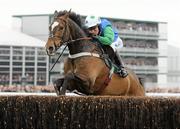 17 March 2010; Poker de Sivola, with Katie Walsh up, jumps the last on their way to winning the 140th Year Of The National Hunt Chase Challenge Cup. Cheltenham Racing Festival - Wednesday. Prestbury Park, Cheltenham, Gloucestershire, England. Photo by Sportsfile