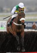 18 March 2010; Ballabriggs, with Richard Harding up, jumps the last on their way to winning the Fulke Walwyn Kim Muir Challenge Cup Handicap Chase. Cheltenham Racing Festival - Thursday. Prestbury Park, Cheltenham, Gloucestershire, England. Photo by Sportsfile