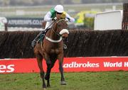 18 March 2010; Ballabriggs, with Richard Harding up, on their way to winning the Fulke Walwyn Kim Muir Challenge Cup Handicap Chase. Cheltenham Racing Festival - Thursday. Prestbury Park, Cheltenham, Gloucestershire, England. Photo by Sportsfile