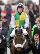 18 March 2010; Ballabriggs, with Richard Harding up, after winning the Fulke Walwyn Kim Muir Challenge Cup Handicap Chase. Cheltenham Racing Festival - Thursday. Prestbury Park, Cheltenham, Gloucestershire, England. Photo by Sportsfile