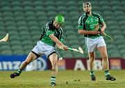 27 February 2010; Paul Browne, Limerick. Allianz GAA Hurling Hurling National League Division 1 Round 2, Limerick v Cork, Gaelic Grounds, Limerick. Picture credit: Diarmuid Greene / SPORTSFILE