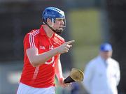 21 March 2010; Michael Cussen, Cork, celebrates after scoring his first goal against Waterford. Allianz GAA National Hurling League, Division 1, Round 4, Waterford v Cork, Walsh Park, Waterford. Picture credit: Matt Browne / SPORTSFILE