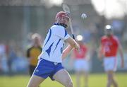 21 March 2010; John Mullane, Waterford. Allianz National Hurling League, Division 1, Round 4, Waterford v Cork, Walsh Park, Waterford. Picture credit: Matt Browne / SPORTSFILE