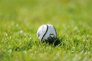 21 March 2010; A general view of a sliotar. Allianz GAA Hurling National League, Division 1, Round 4, Dublin v Kilkenny, Parnell Park, Dublin. Picture credit: Brendan Moran / SPORTSFILE