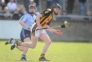 21 March 2010; James Ryall, Kilkenny. Allianz GAA Hurling National League, Division 1, Round 4, Dublin v Kilkenny, Parnell Park, Dublin. Picture credit: Brendan Moran / SPORTSFILE