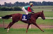 27 May 2001; Eight Woods, with Seamus Heffernan up, at The Curragh Racecourse in Kildare. Photo by Aoife Rice/Sportsfile