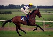 27 May 2001; Scolardy, with R. Hughes up, at The Curragh Racecourse in Kildare. Photo by Aoife Rice/Sportsfile