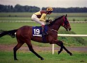 27 May 2001; Frametti, with Kevin Manning up, at The Curragh Racecourse in Kildare. Photo by Aoife Rice/Sportsfile