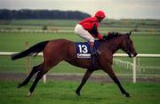 27 May 2001; Henry Afrika, with Kieran Fallon up, at The Curragh Racecourse in Kildare. Photo by Aoife Rice/Sportsfile