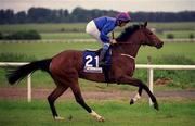27 May 2001; Maiskaya, with Colm O'Donoghue up, at The Curragh Racecourse in Kildare. Photo by Aoife Rice/Sportsfile