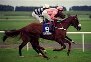 27 May 2001; Per Amore, with Stephen Craine up, at The Curragh Racecourse in Kildare. Photo by Aoife Rice/Sportsfile