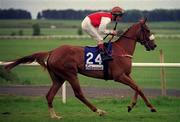 27 May 2001; Lady Semillon, with Wayne Smith up, at The Curragh Racecourse in Kildare. Photo by Aoife Rice/Sportsfile
