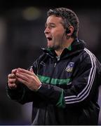 2 April 2016; Limerick manager TJ Ryan. Allianz Hurling League Division 1 Quarter-Final, Dublin v Limerick. Parnell Park, Dublin. Picture credit: Dean Cullen / SPORTSFILE