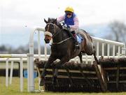 4 April 2010; Dul Ar An Ol, with Luke McNiff up, clears the last on their way to winning The Lexeme Retail Novice Handicap Hurdle. Fairyhouse Racecourse, Co. Meath. Picture credit: Pat Murphy / SPORTSFILE