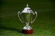 19 April 2016; The new GAA National Hurling League Division 1 Trophy. Croke Park, Dublin. Picture credit: Brendan Moran / SPORTSFILE