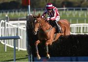 26 April 2016; Zabana, with Davy Russell up, jumps the last on their way to winning the Growise Champion Novice Steeplechase. Punchestown, Co. Kildare. Photo by Sportsfile