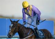 26 April 2016; Cilaos Emery, with Paddy Mullins up, on their way to winning the Donohue Marquees INH Flat Race. Punchestown, Co. Kildare. Picture credit: Seb Daly / SPORTSFILE