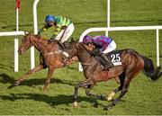 28 April 2016; Cup Final, top, with Robbie Power up, wins by a nose in a photo finish ahead of Jury Duty, with Jack Kennedy up, in the Murray Spelman Handicap Hurdle. Punchestown, Co. Kildare. Picture credit: Cody Glenn / SPORTSFILE