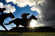 29 April 2016; No Comment, with Jamie Codd up, crosses the finishing post ahead of Monalee, with David Roche up, to win the Racing FX Flat Race. Punchestown, Co. Kildare. Picture credit: Cody Glenn / SPORTSFILE