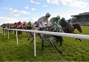 29 April 2016; A general view of runners and riders in the Racing FX Flat Race. Punchestown, Co. Kildare. Picture credit: Cody Glenn / SPORTSFILE