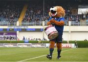 7 May 2016; Leo The Lion. Guinness PRO12, Round 22, Leinster v Benetton Treviso. RDS Arena, Ballsbridge, Dublin. Picture credit: Ramsey Cardy / SPORTSFILE