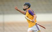 18 June 2016; Seán Nolan of South Wexford celebrates scoring his side's first goal during the Corn John Scott, Division 2, Celtic Challenge Final 2016 match between Kerry and South Wexford at Nowlan Park in Kilkenny. Photo by Piaras Ó Mídheach/Sportsfile