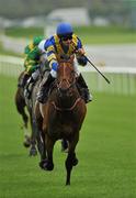 21 August 2010; Rajik, with Declan McDonagh up, celebrates after passing the post to win The Ballycullen Stakes. Horse Racing, Curragh Racecourse, Co. Kildare. Picture credit: Barry Cregg / SPORTSFILE