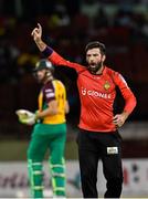 10 July 2016; Anton Devcich of Trinbago Knight Riders celebrates the dismissal of Dwayne Smith of Guyana Amazon Warriors during Match 11 of the Hero Caribbean Premier League match between Guyana Amazon Warriors and Trinbago Knight Riders at Guyana National Stadium in Providence, Guyana. Photo by Randy Brooks/Sportsfile