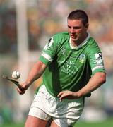 29 July 2001; Brian Begley of Limerick during the Guinness All-Ireland Senior Hurling Championship Quarter-Final match between Wexford and Limerick at Croke Park in Dublin. Photo by Damien Eagers/Sportsfile