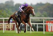 4 September 2010; Cape Blanco, with Seamus Heffernan up, race clear of the field on their way to winning the Tattersalls Millions Irish Champion Stakes. Leopardstown Racecourse, Dublin. Picture credit: Brendan Moran / SPORTSFILE