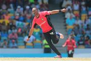 16 July 2016; Trinbago Knight Riders captain Dwayne Bravo celebrates after he dismissed Shoaib Malik during Match 16 of the Hero Caribbean Premier League match between Barbados Tridents and Trinbago Knight Riders at Kensington Oval in Bridgetown, Barbados. Photo by Ashley Allen/Sportsfile