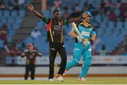 21 July 2016; Jonathan Carter (L) celebrates dismissing Shane Watson (R) of the St Lucia Zouks during Match 21 of the Hero Caribbean Premier League match between the St Lucia Zouks and the Nevis Patriots at the Daren Sammy Cricket Stadium, Gros Islet, St Lucia.  Photo by Ashley Allen/Sportsfile