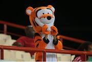 21 July 2016; A local fan dresses up as Tigger during Match 21 of the Hero Caribbean Premier League match between the St Lucia Zouks and the Nevis Patriots at the Daren Sammy Cricket Stadium, Gros Islet, St Lucia.  Photo by Ashley Allen/Sportsfile