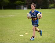 27 July 2016; Ciarán Behan, age 10, from Rathangan, during the Bank of Ireland Leinster Rugby Summer Camp at Cill Dara RFC in Dunmurray West, Kildare. Photo by Piaras Ó Mídheach/Sportsfile