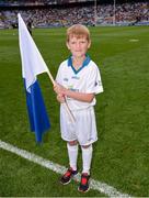 7 August 2016; Liberty Insurance flagbearer Joe McKinley, age 8, a member of Castleknock GAA club, at the All Ireland Senior Hurling Semi Final between Kilkenny & Waterford, Croke Park, Dublin. Photo by Piaras Ó Mídheach/Sportsfile