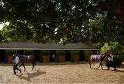 11 August 2016; A general view of the stables at Leopardstown Racecourse in Dublin. Photo by Cody Glenn/Sportsfile