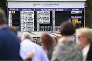 11 August 2016; A general view of the race board at Leopardstown Racecourse in Dublin. Photo by Cody Glenn/Sportsfile