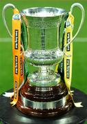 30 October 2010; A general view of the Cormac McAnallen Cup ahead of the game. Irish Daily Mail International Rules Series 2nd Test, Ireland v Australia, Croke Park, Dublin. Picture credit: Stephen McCarthy / SPORTSFILE