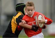 14 August 2016; Action from the Rugby Mini U11 & O9 Boys match between Limerick and Roscommon at Weekend 1 of the Community Games National Festival at Athlone I.T in Athlone, Co Westmeath. Photo by Seb Daly/Sportsfile