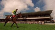 2 August 2001; Carina Bay, with John Cullen up, passes the grandstand in the Guinness Noivce Chase during Ladies Day of the Galway Summer Racing Festival at Ballybrit Racecourse in Galway. Photo by Damien Eagers/Sportsfile