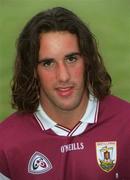 29 August 2001; David Tierney of Galway poses for a portrait during a Galway hurling press night at Pearse Stadium ahead of the Guinness All-Ireland Senior Hurling Championship Final. Photo by Matt Browne/Sportsfile