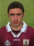 29 August 2001; Alan Kerins of Galway poses for a portrait during a Galway hurling press night at Pearse Stadium ahead of the Guinness All-Ireland Senior Hurling Championship Final. Photo by Matt Browne/Sportsfile