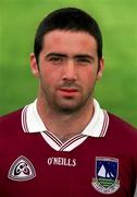 29 August 2001; Kieran Comer of Galway poses for a portrait during a Galway press night ahead of the Bank of Ireland All-Ireland Football Hurling Championship Final. Photo by Damien Eagers/Sportsfile