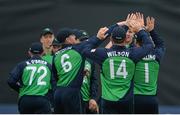 18 August 2016; Ireland players celebrate after Barry McCarthy, hidden, bowled out Pakistan captain Azhar Ali during the One Day International cricket match between Ireland and Pakistan at Malahide Cricket Ground in Malahide, Co Dublin. Photo by Eóin Noonan/Sportsfile