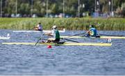 27 August 2016; Paul O'Donovan of Ireland in action during the Lightweight Men’s Single Sculls Final at the 2016 World Rowing Championships at the Willem-Alexanderbaan Rowing Venue in Rotterdam, Netherlands. Photo by ANP Orange Pictures / Herman Dingler / Sportsfile