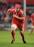 21 November 2010; Billy Holland, Munster. Celtic League, Munster v Llanelli Scarlets, Musgrave Park, Cork. Picture credit: Brendan Moran / SPORTSFILE