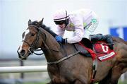 15 December 2010; Zaidpour, with Paul Townend up, on their way to winning The Bar One Racing Royal Bond Novice Hurdle. Fairyhouse Racecourse, Fairyhouse, Co. Meath. Picture credit: Matt Browne / SPORTSFILE