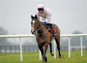 15 December 2010; Zaidpour, with Paul Townend up, on their way to winning The Bar One Racing Royal Bond Novice Hurdle. Fairyhouse Racecourse, Fairyhouse, Co. Meath. Picture credit: Barry Cregg / SPORTSFILE