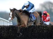 15 December 2010; Tranquil Sea, with Andrew McNamara up, jump the last on their way to winning The John Durkan Memorial Punchestown Steeplechase. Fairyhouse Racecourse, Fairyhouse, Co. Meath. Picture credit: Matt Browne / SPORTSFILE